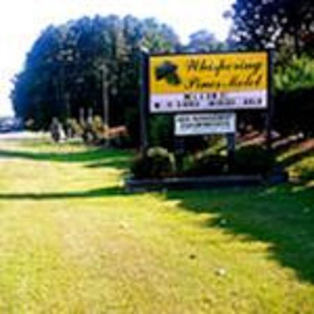 The Whispering Pines Motel- Whitestone White Stone Exterior photo