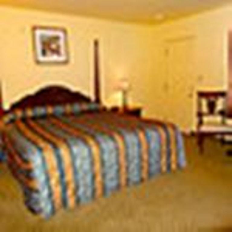 The Whispering Pines Motel- Whitestone White Stone Exterior photo